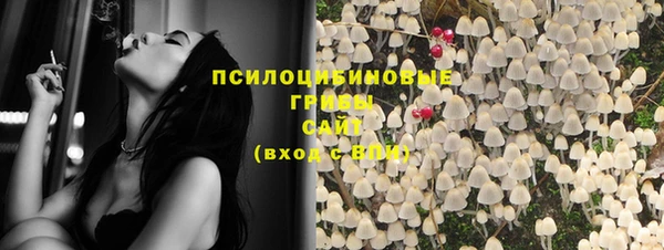 крисы Алзамай