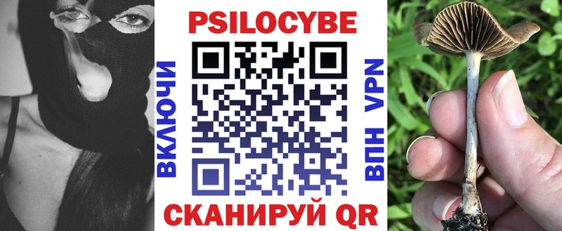 магазин наркотиков Мичуринск Галлюциногенные грибы мицелий
