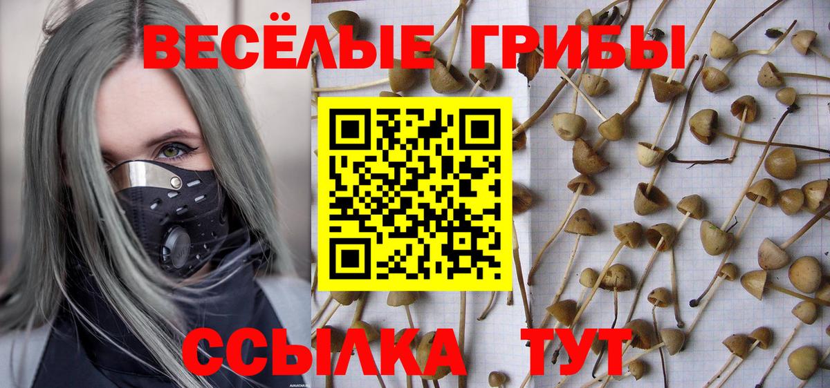 Галлюциногенные грибы GOLDEN TEACHER Мичуринск