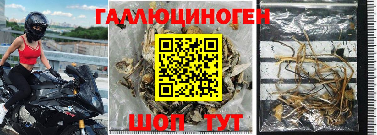 Псилоцибиновые грибы мицелий  Вход с VPN  Псилоцибиновые грибы GOLDEN TEACHER  Мичуринск 